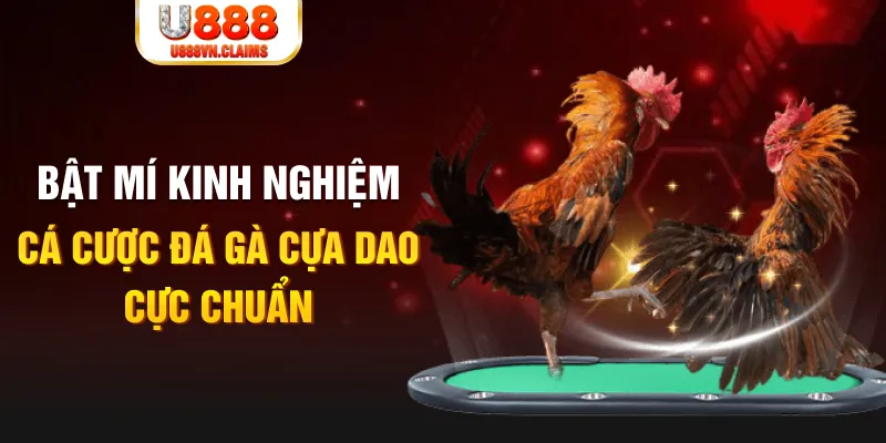 ga 888 trong baccarat, ai là người chia bài chính？