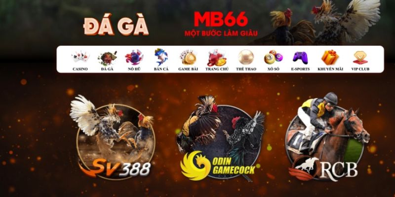 ga 888 Bài Poker Hoàn Toàn Mỹ