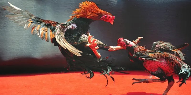 ga 888 đăng nhập nổ hũ số 1