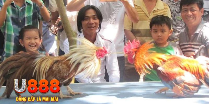 ga 888 mơ thấy nổ hũ đánh con gì