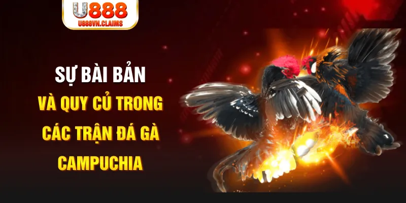 ga 888 baccarat lừa đảo như thế nào