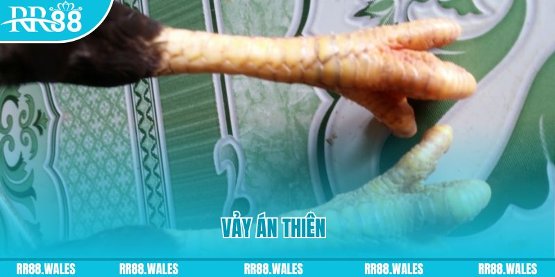 ga 888 who wants to be a millionaire slot